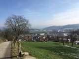 IMG_1009