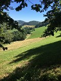IMG_2409